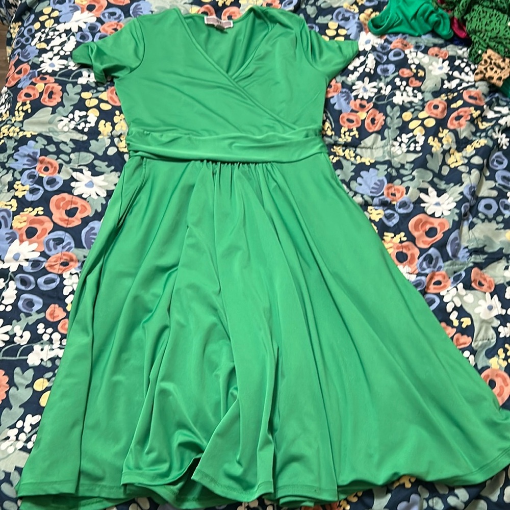 BY Design Green Fit and Flare Dress - size xs